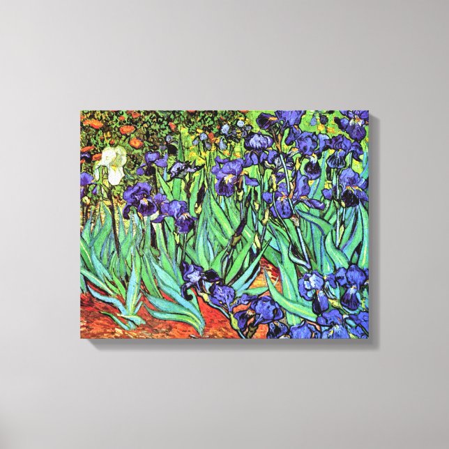 Vincent Van Gogh - Irises - Flower Lover Fine Art Canvas Print (Front)