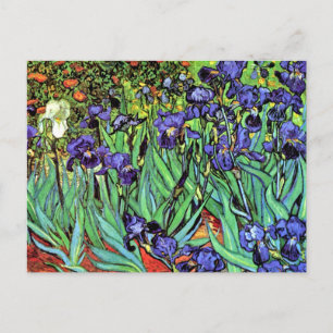 Vincent Van Gogh - Irises - Flower Lover Fine Art Postcard