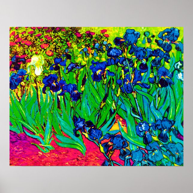 Vincent Van Gogh - Irises - Flower Lover Pop Art Poster (Front)