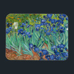 Vincent Van Gogh - Irises Magnet<br><div class="desc">Irises / Iris - Vincent Van Gogh,  1889</div>