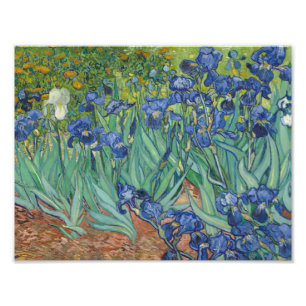 Vincent van Gogh - Irises Photo Print