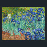 Vincent Van Gogh - Irises Photo Print<br><div class="desc">Irises / Iris - Vincent Van Gogh,  1889</div>