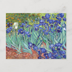 Vincent van Gogh Irises Postcard