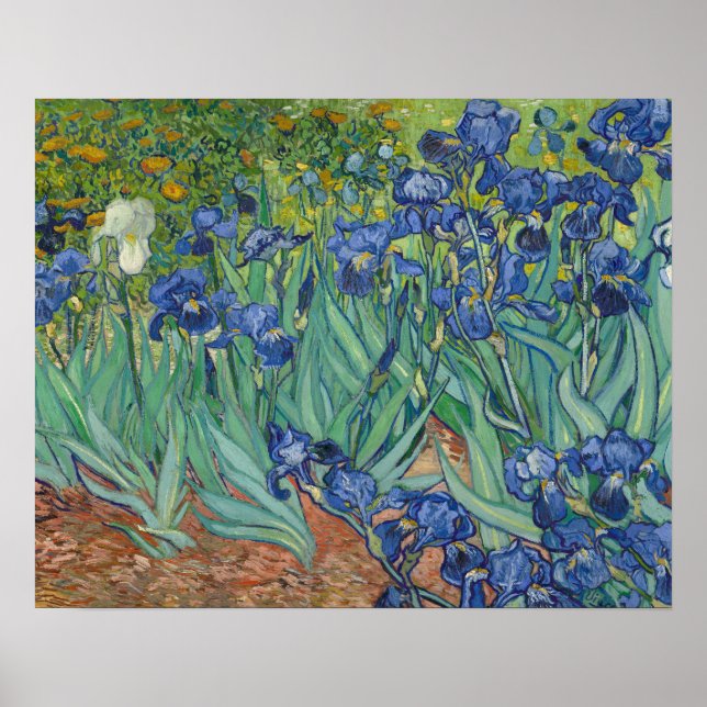 Vincent van Gogh - Irises Poster (Front)
