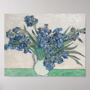 Vincent van Gogh - Irises Poster