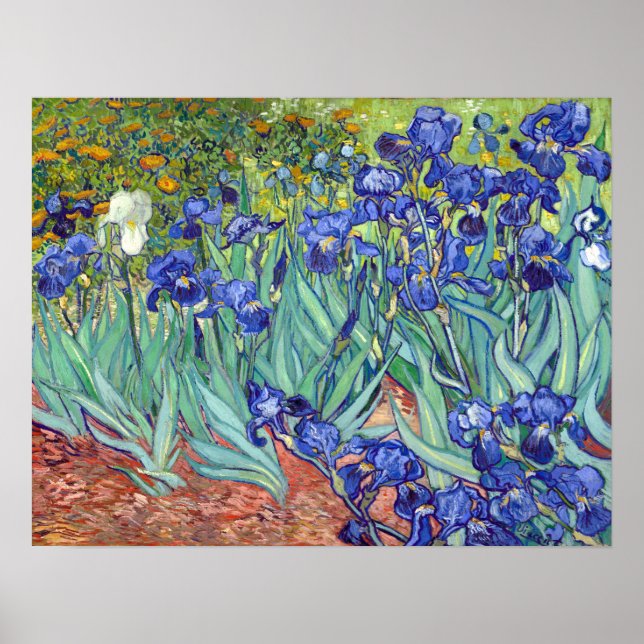 Vincent van Gogh Irises Poster (Front)