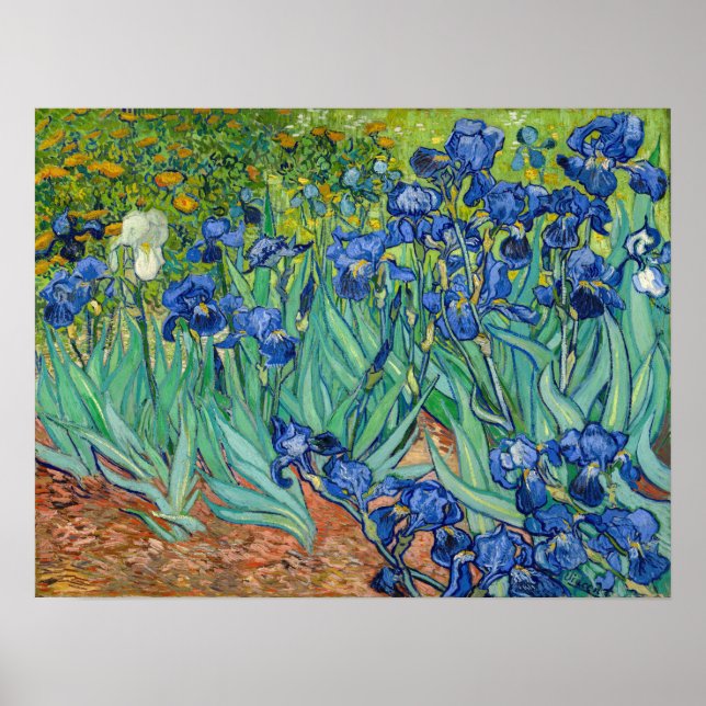 Vincent Van Gogh - Irises Poster (Front)