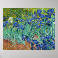 Vincent Van Gogh - Irises
