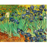 Vincent van Gogh,Irises Standing Photo Sculpture<br><div class="desc">Vincent van Gogh, Irises</div>