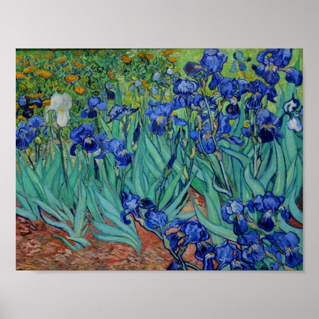 Vincent Van Gogh Irises Vibrant Flower Fine Art Poster (Front)