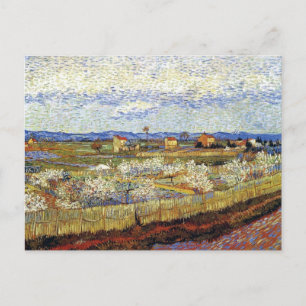 Vincent Van Gogh - La Crau With Peach Trees Postcard