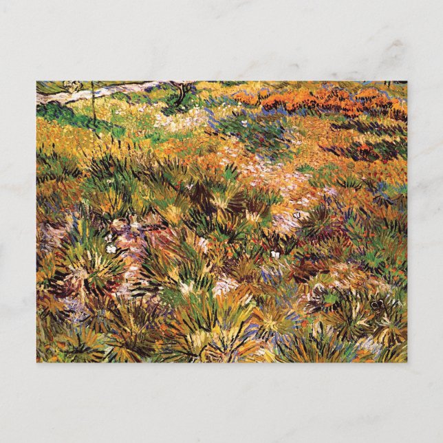 Vincent Van Gogh - Meadow In The Garden Fine Art Postcard (Front)