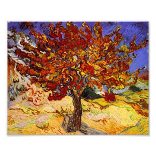 Vincent Van Gogh Mulberry Tree Fine Art Painting Photo Print