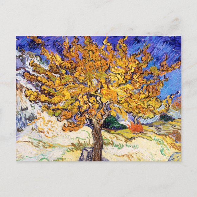 Vincent Van Gogh Mulberry Tree Fine Art Postcard (Front)