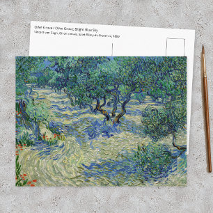 Vincent van Gogh - Olive Grove: Bright Blue Sky Postcard