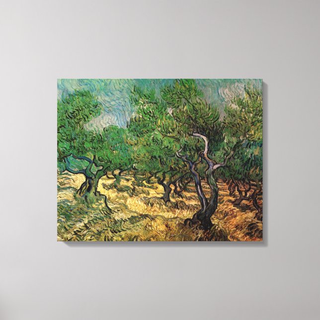 Vincent van Gogh - Olive Grove Canvas Print (Front)