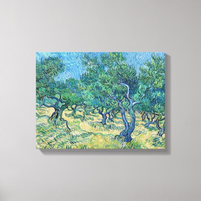 Vincent van Gogh - Olive Grove Canvas Print (Front)