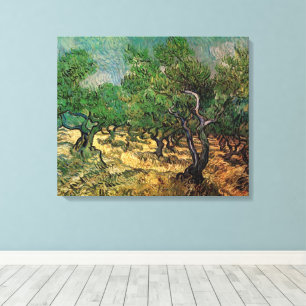 Vincent van Gogh - Olive Grove Canvas Print