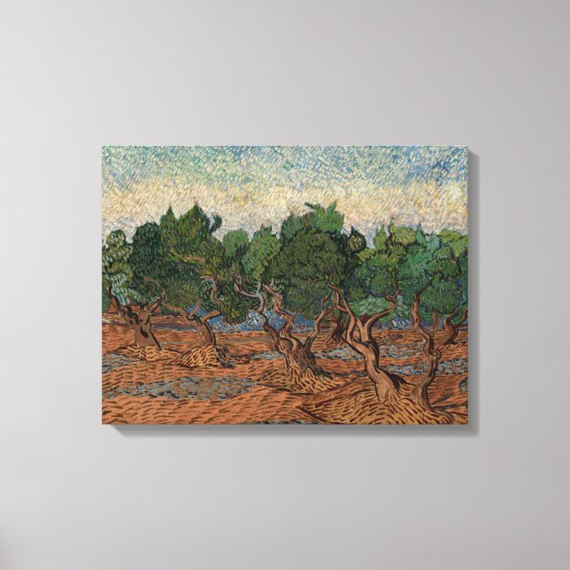 Vincent van Gogh - Olive Grove Canvas Print (Front)