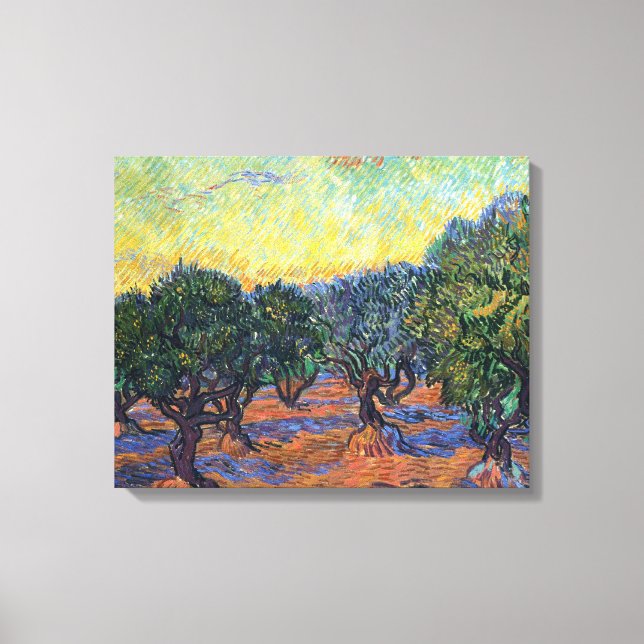 Vincent Van Gogh Olive Grove Impressionism Art Canvas Print (Front)