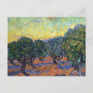 Vincent Van Gogh Olive Grove Impressionism Art Postcard