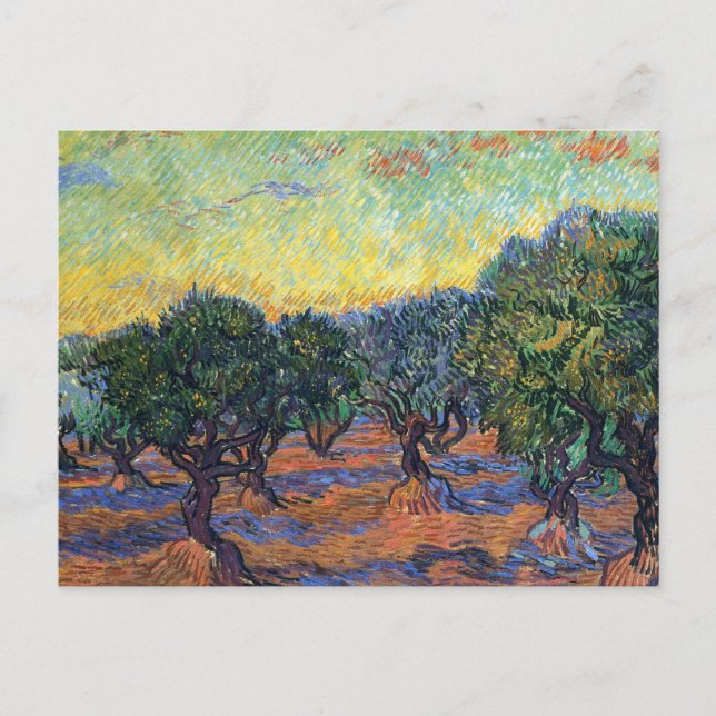 Vincent Van Gogh Olive Grove Impressionism Art Postcard (Front)