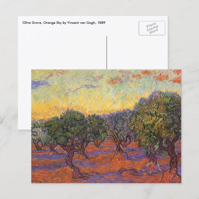 Vincent van Gogh - Olive Grove, Orange Sky Postcard (Front/Back)