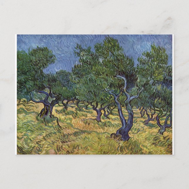 Vincent van Gogh - Olive Grove Postcard (Front)