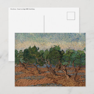 Vincent van Gogh - Olive Grove Postcard