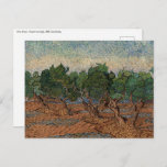 Vincent van Gogh - Olive Grove Postcard<br><div class="desc">Olive Grove - Vincent van Gogh,  1889,  Saint-Remy</div>