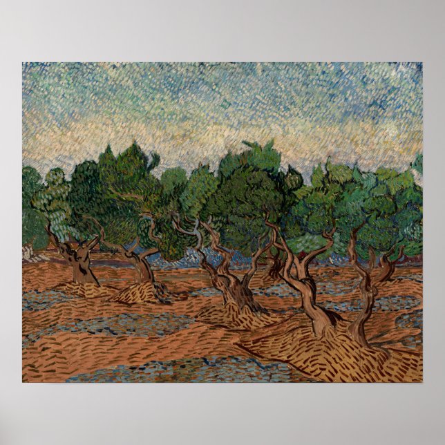 Vincent van Gogh - Olive Grove Poster (Front)