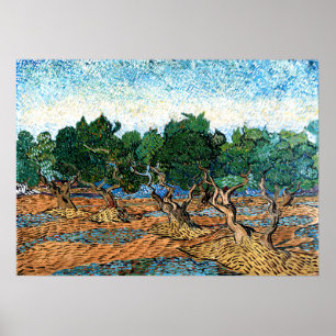 Vincent van Gogh - Olive Grove Poster