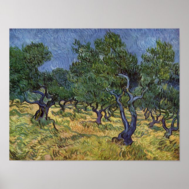 Vincent van Gogh - Olive Grove Poster (Front)