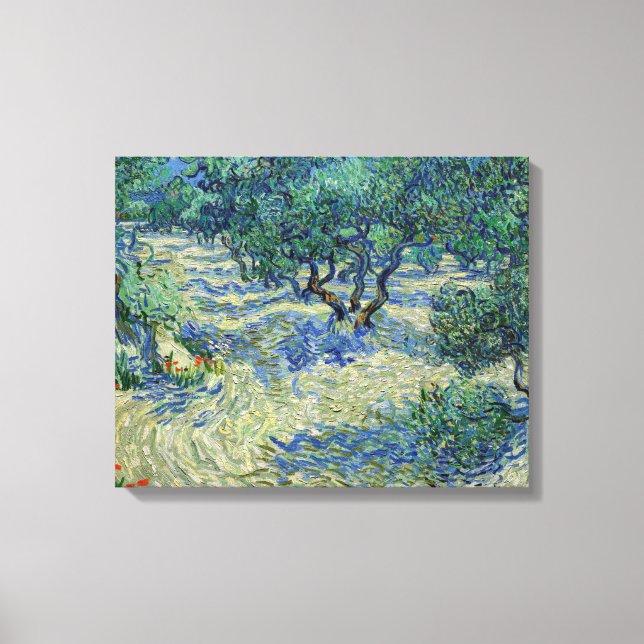Vincent van Gogh - Olive Orchard Canvas Print (Front)