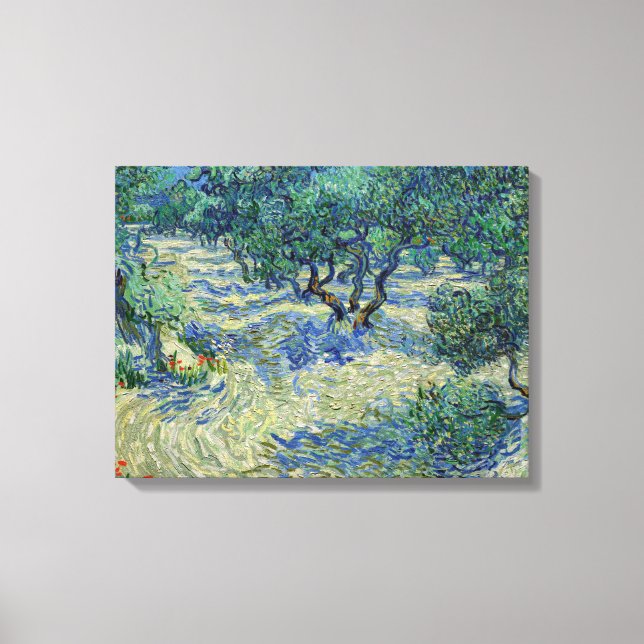 Vincent van Gogh - Olive Orchard Canvas Print (Front)