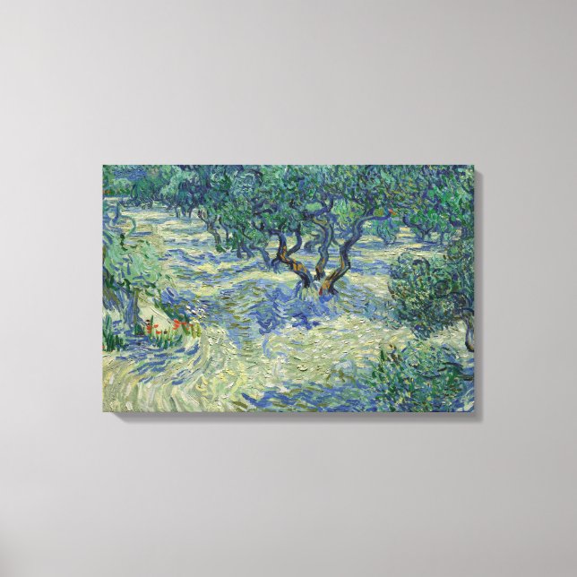 Vincent van Gogh - Olive Orchard Canvas Print (Front)