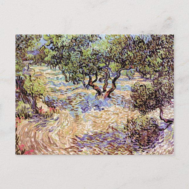 Vincent Van Gogh - Olive Orchard Fine Art Postcard (Front)