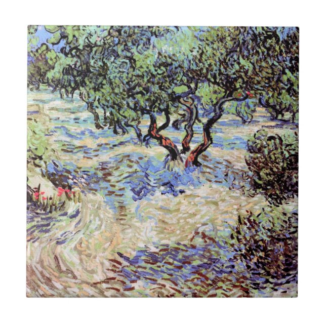 Vincent Van Gogh - Olive Orchard Fine Art Tile (Front)