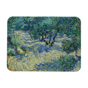 Vincent van Gogh - Olive Orchard Magnet
