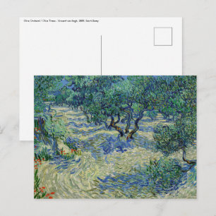 Vincent van Gogh - Olive Orchard Postcard