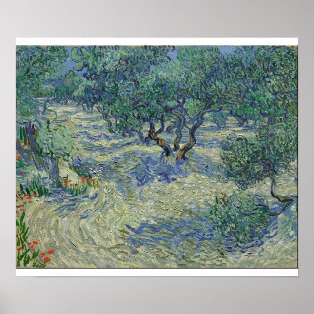 Vincent Van Gogh - Olive Orchard Poster (Front)
