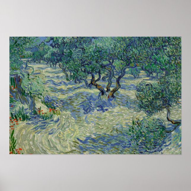 Vincent van Gogh - Olive Orchard Poster (Front)