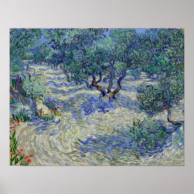 Vincent van Gogh Olive Orchard Poster (Front)