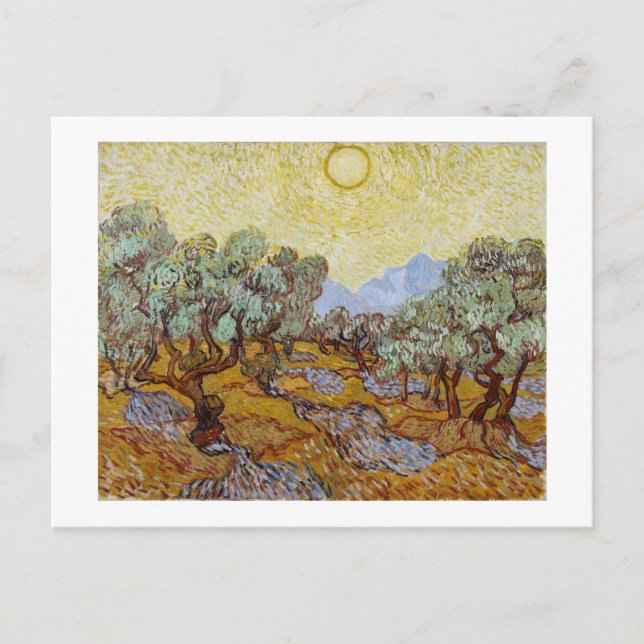 Vincent van Gogh | Olive Trees, 1889 Postcard (Front)