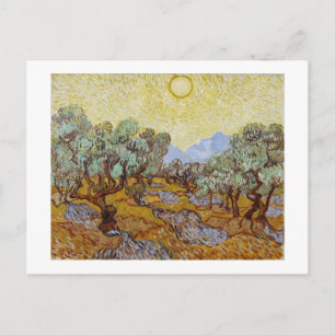 Vincent van Gogh   Olive Trees, 1889 Postcard