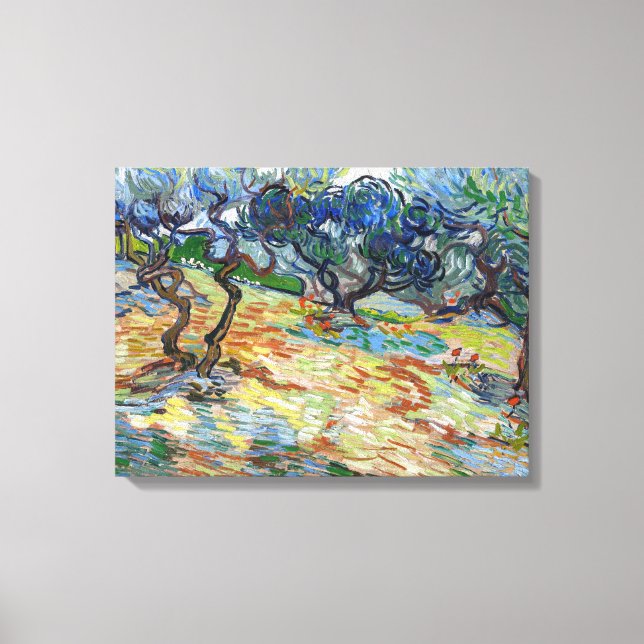 Vincent van Gogh - Olive Trees: Bright blue sky Canvas Print (Front)