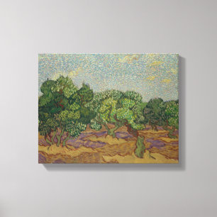 Vincent van Gogh - Olive Trees Canvas Print