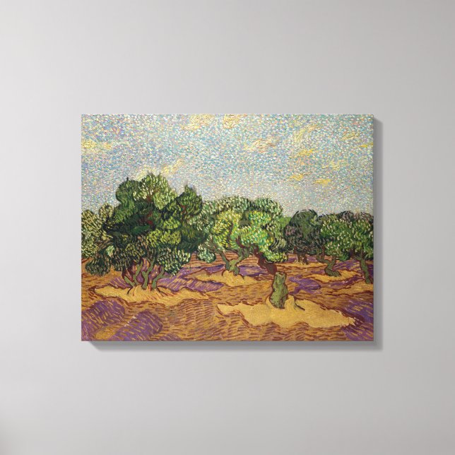Vincent van Gogh - Olive Trees Canvas Print (Front)