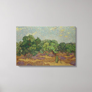 Vincent van Gogh - Olive Trees Canvas Print