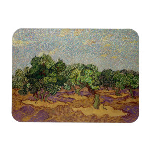 Vincent van Gogh - Olive Trees Magnet